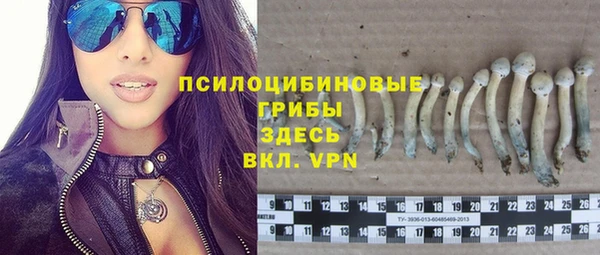 не бодяженный Волоколамск