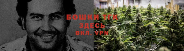 не бодяженный Волоколамск